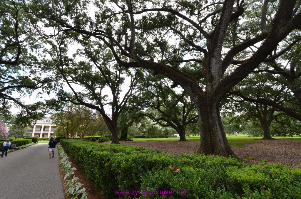 026: Oak Alley Plantation, 