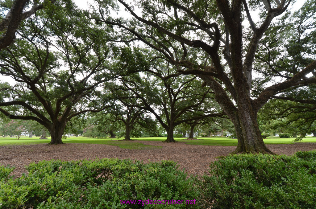 027: Oak Alley Plantation, 