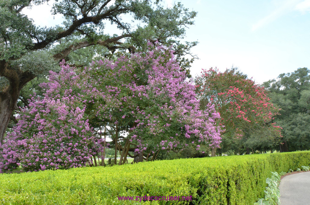 028: Oak Alley Plantation, 