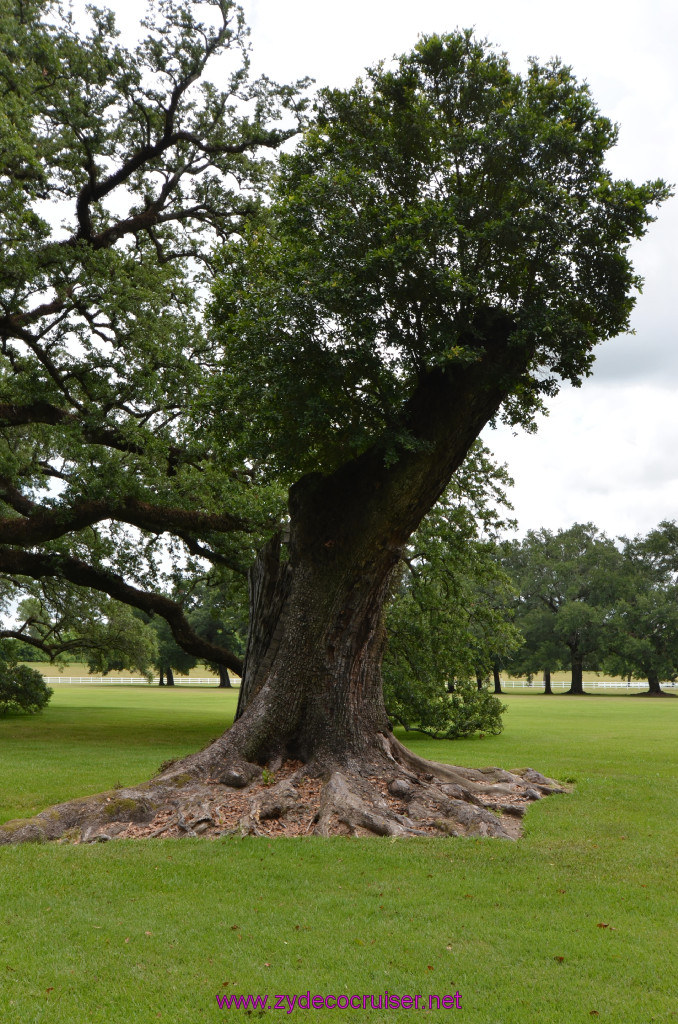 039: Oak Alley Plantation, 