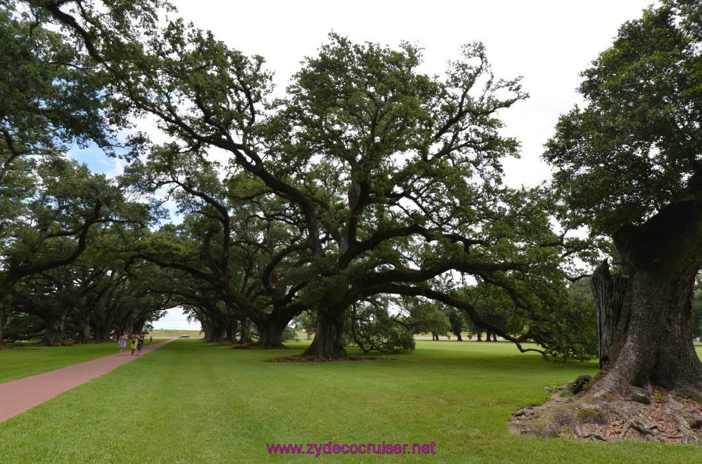 040: Oak Alley Plantation, 