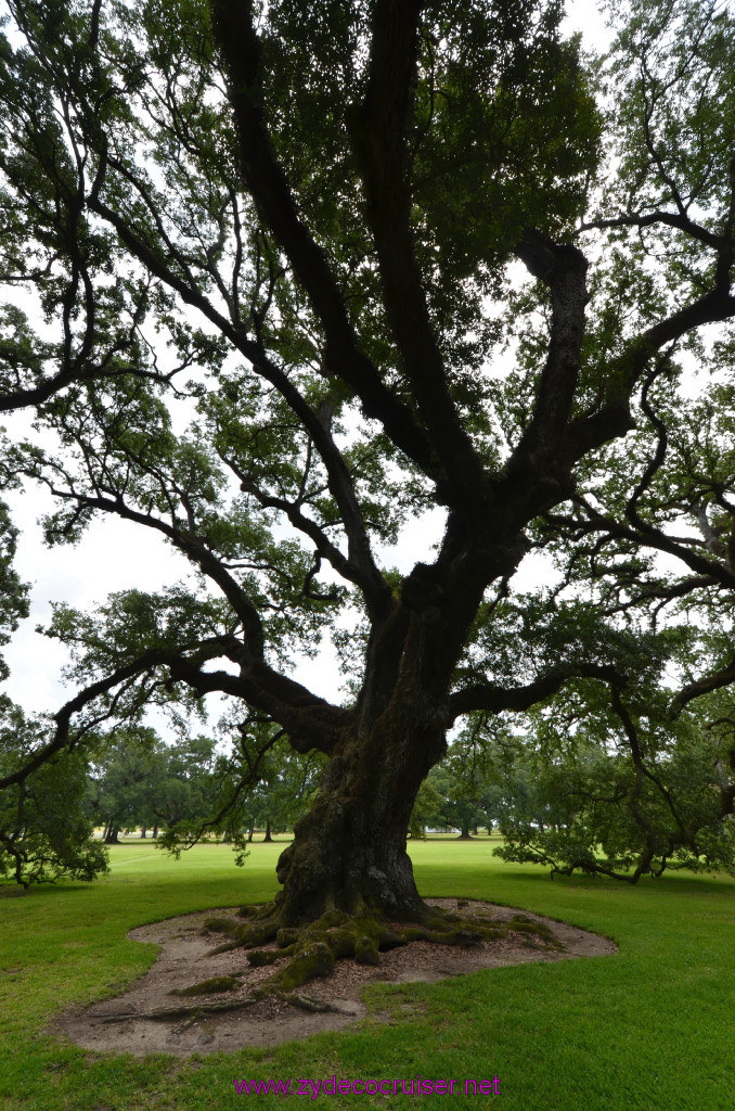 042: Oak Alley Plantation, 