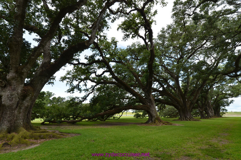 044: Oak Alley Plantation, 