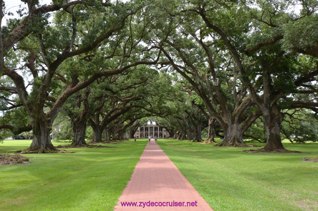 048: Oak Alley Plantation, 