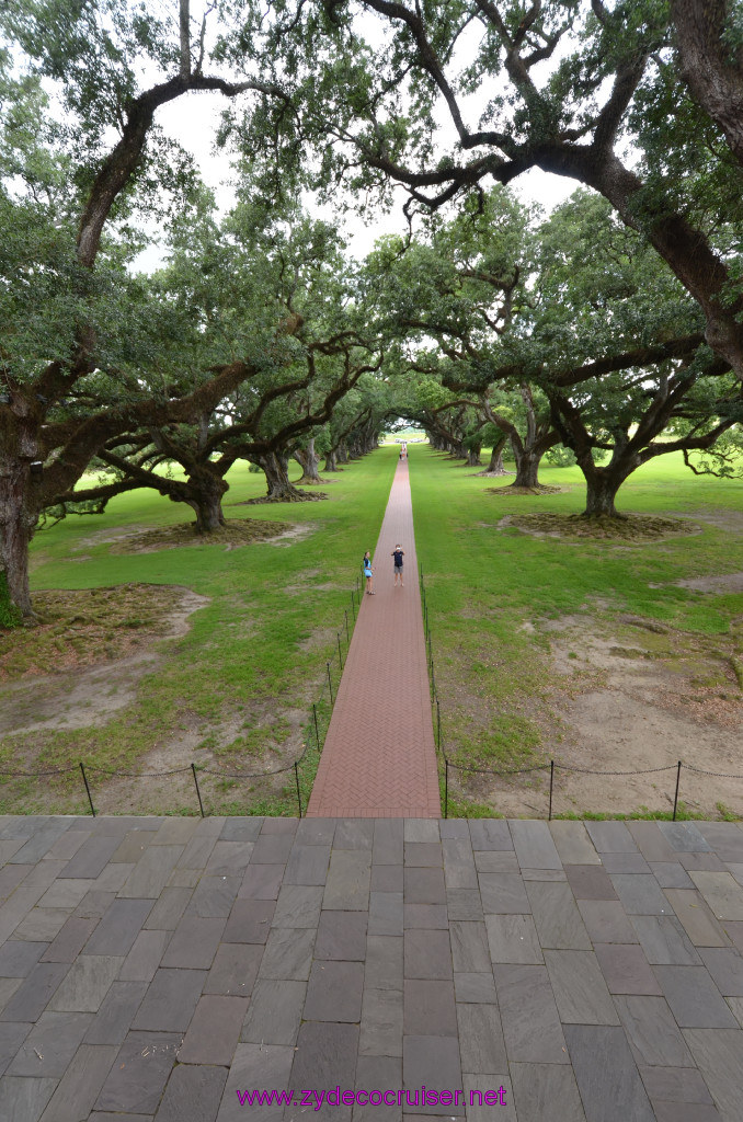 138: Oak Alley Plantation, 