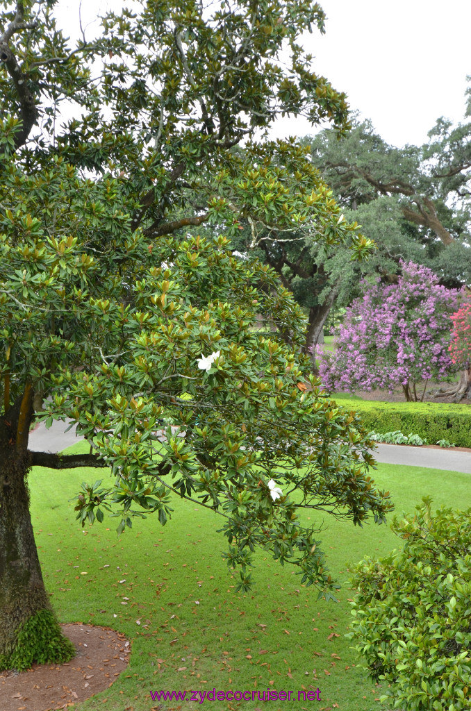 150: Oak Alley Plantation, 