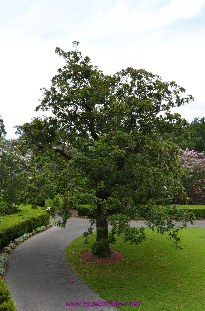 157: Oak Alley Plantation, 