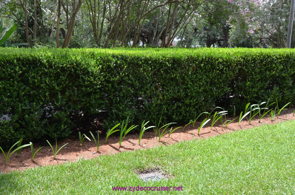 181: Oak Alley Plantation, 