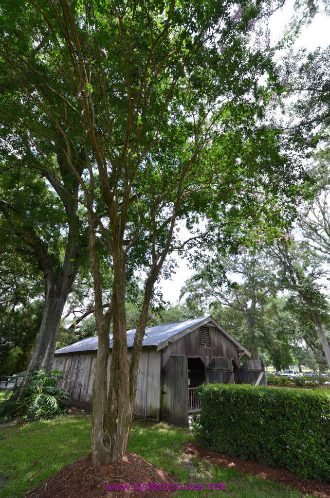 183: Oak Alley Plantation, 