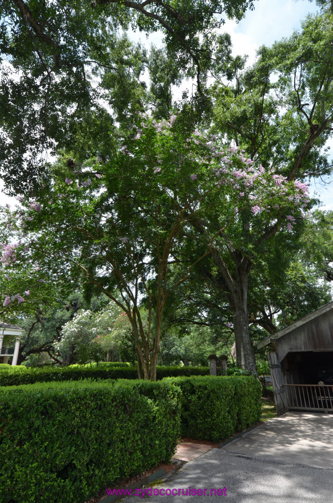 194: Oak Alley Plantation, 