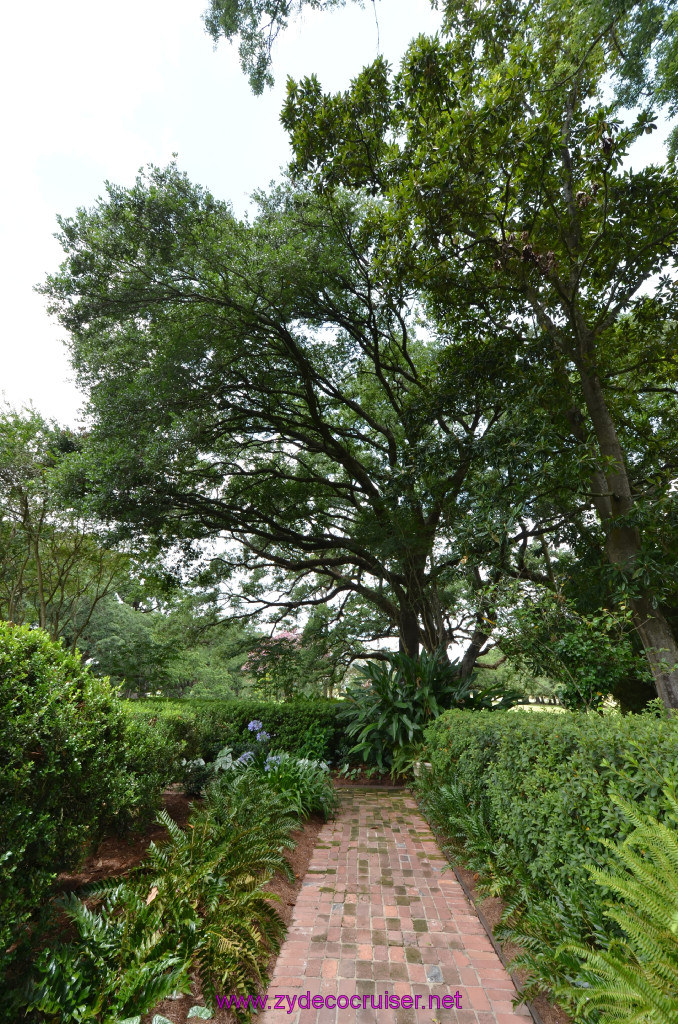 205: Oak Alley Plantation, 