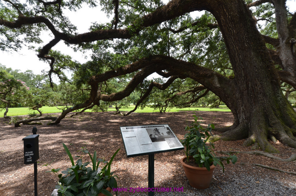 232: Oak Alley Plantation, 