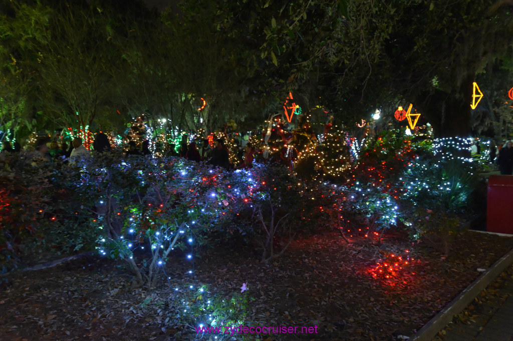 020: Celebration in the Oaks, New Orleans, Dec 2013