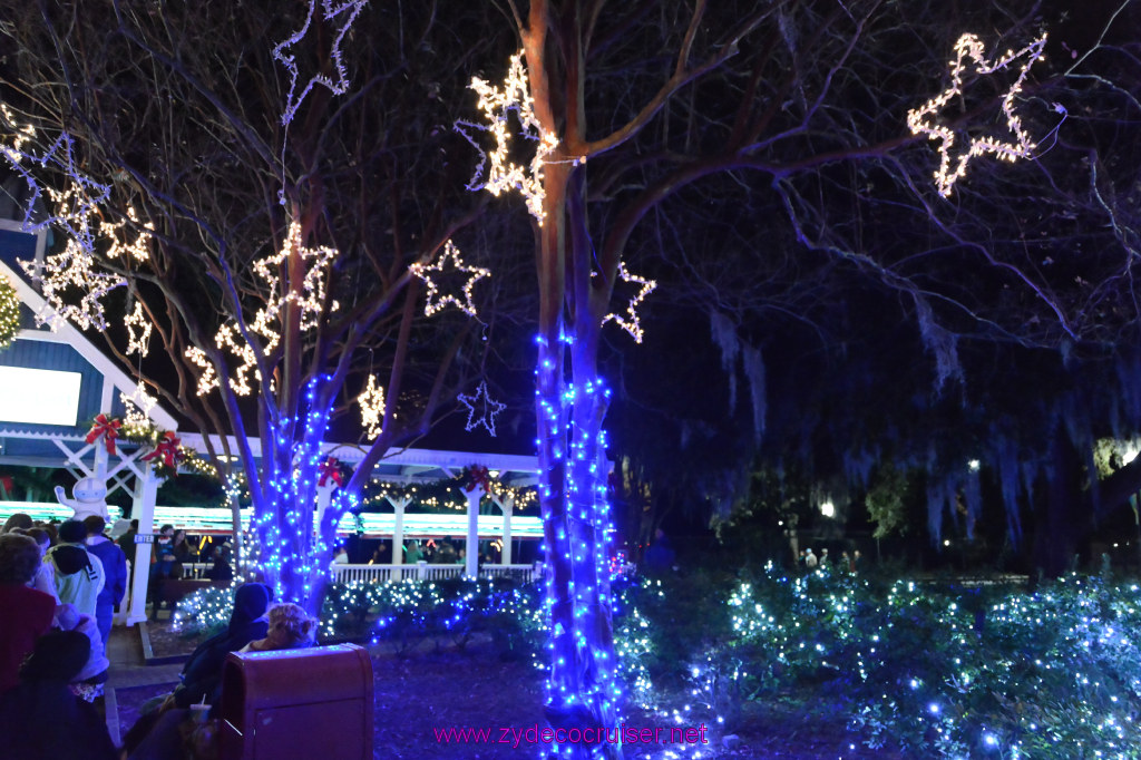 036: Celebration in the Oaks, New Orleans, Dec 2013