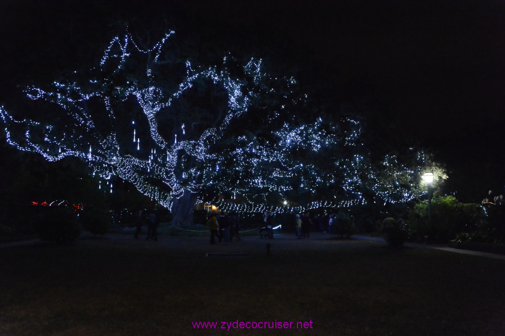 104: Celebration in the Oaks, New Orleans, Dec 2013