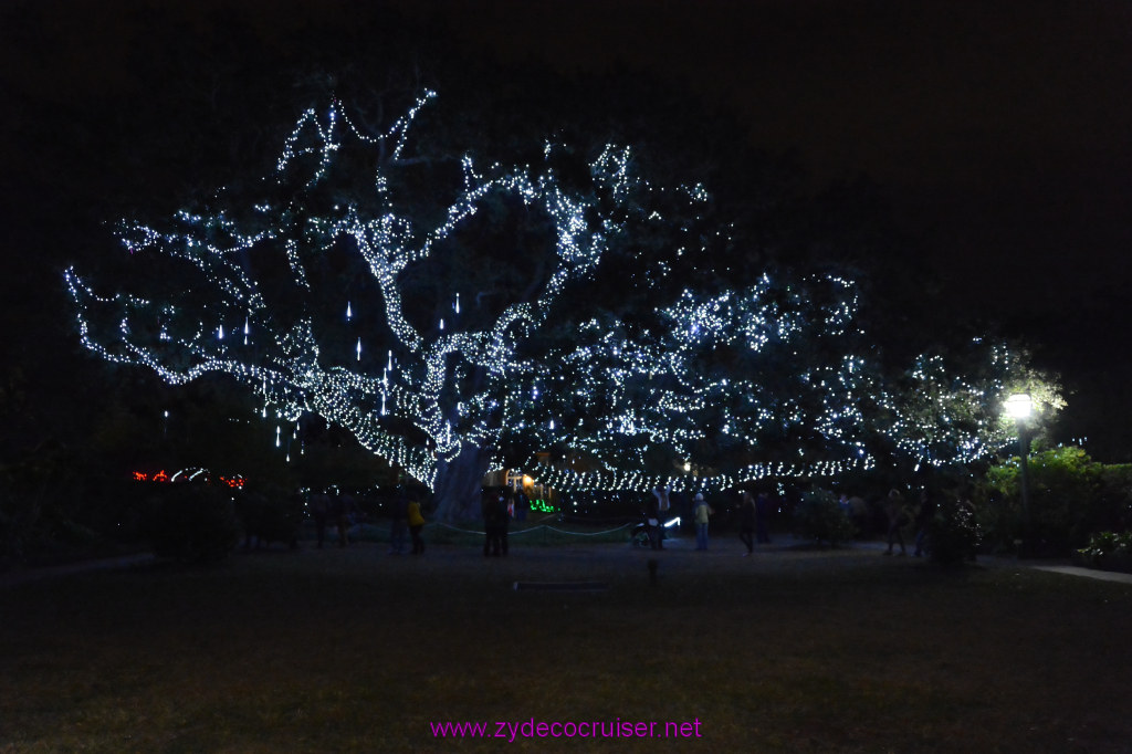 105: Celebration in the Oaks, New Orleans, Dec 2013