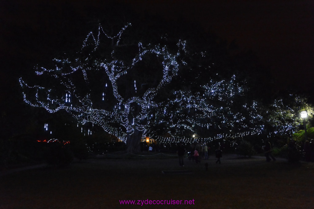 109: Celebration in the Oaks, New Orleans, Dec 2013