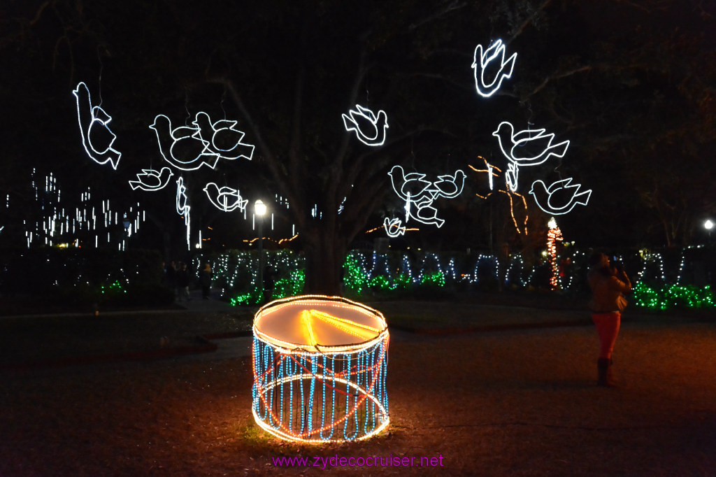 111: Celebration in the Oaks, New Orleans, Dec 2013