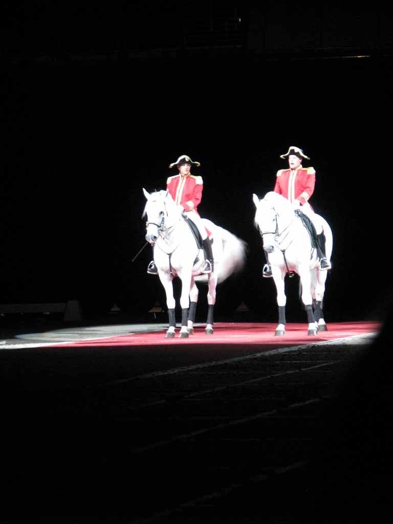 014: Lipizzaner Stallions, Mar 15, 2009