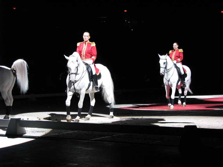 017: Lipizzaner Stallions, Mar 15, 2009