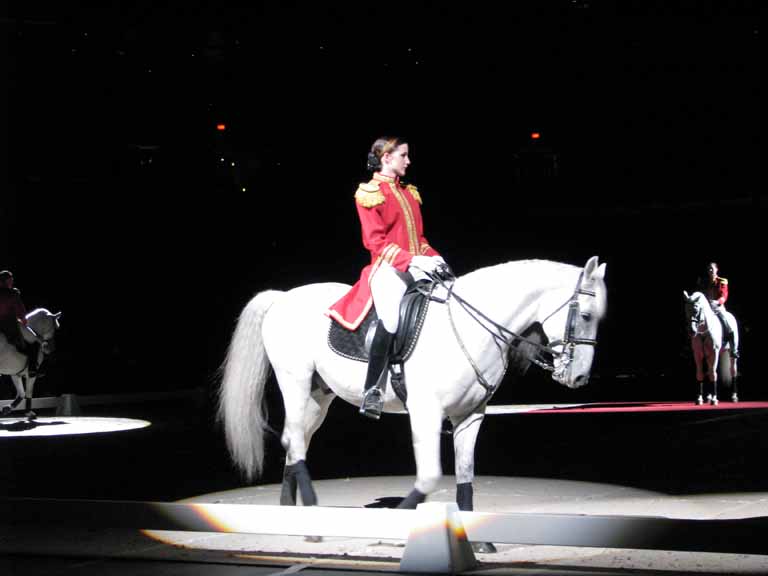 019: Lipizzaner Stallions, Mar 15, 2009