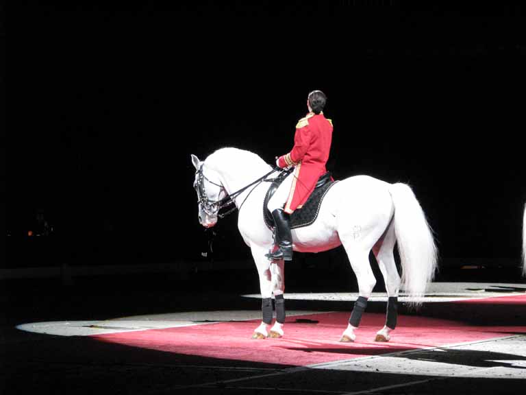 020: Lipizzaner Stallions, Mar 15, 2009