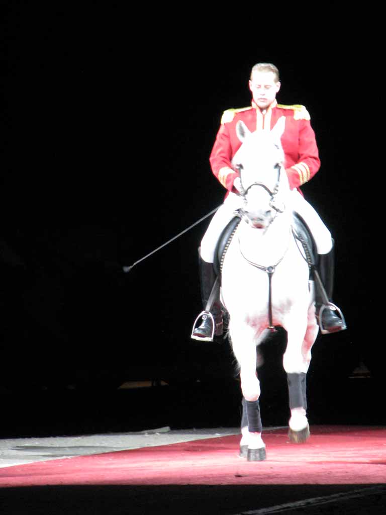 023: Lipizzaner Stallions, Mar 15, 2009