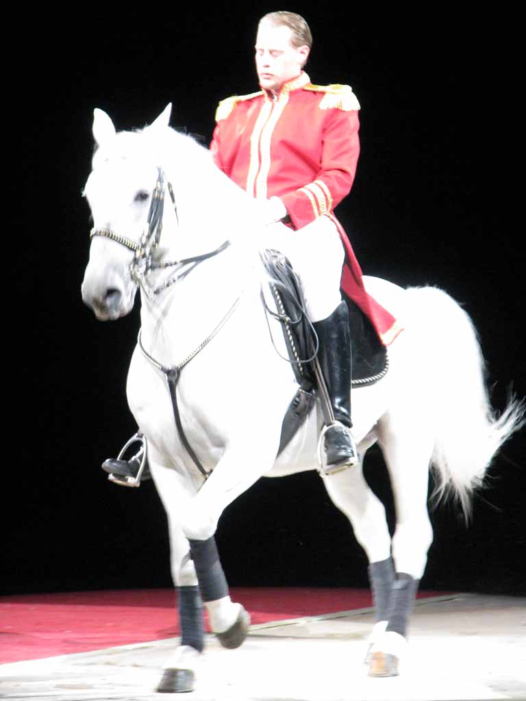 024: Lipizzaner Stallions, Mar 15, 2009