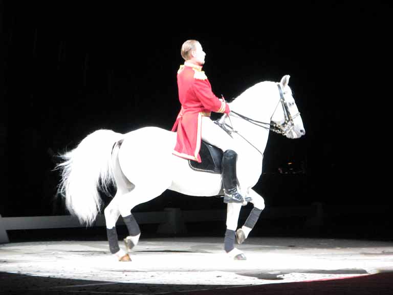 025: Lipizzaner Stallions, Mar 15, 2009