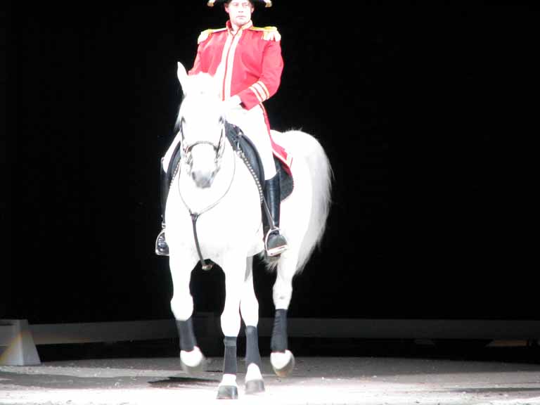 026: Lipizzaner Stallions, Mar 15, 2009