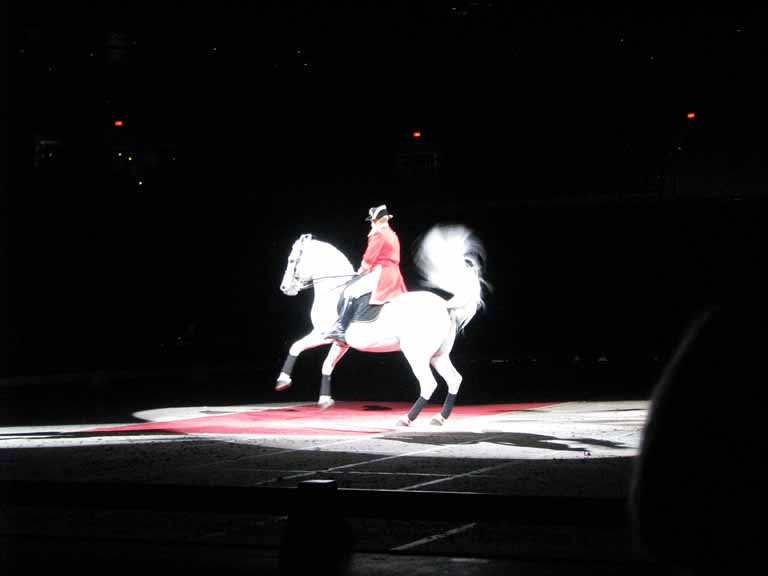 027: Lipizzaner Stallions, Mar 15, 2009