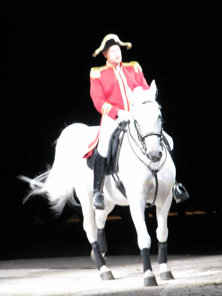 029: Lipizzaner Stallions, Mar 15, 2009