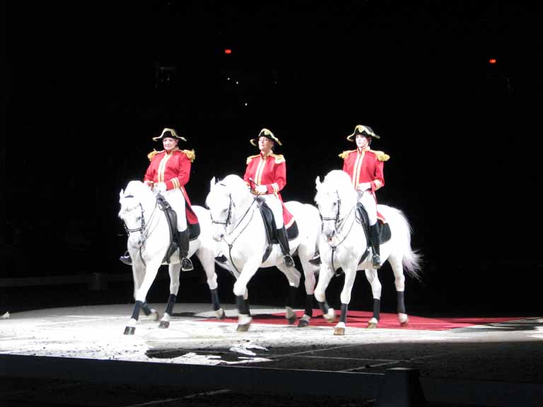 032: Lipizzaner Stallions, Mar 15, 2009