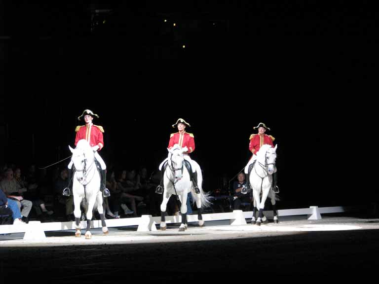 034: Lipizzaner Stallions, Mar 15, 2009