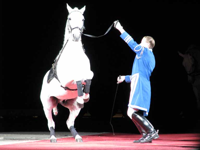 043: Lipizzaner Stallions, Mar 15, 2009