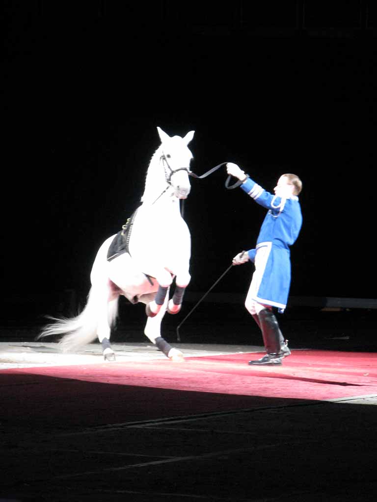 044: Lipizzaner Stallions, Mar 15, 2009