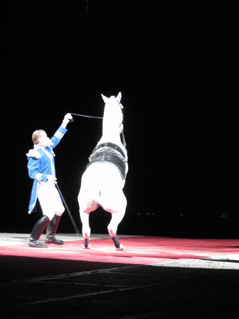 046: Lipizzaner Stallions, Mar 15, 2009