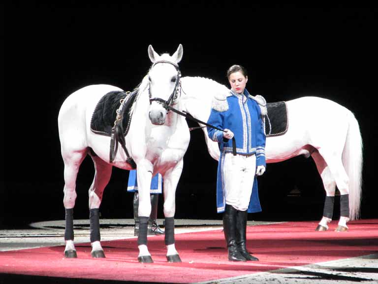 049: Lipizzaner Stallions, Mar 15, 2009