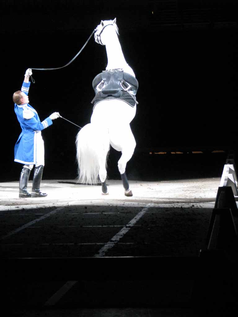 051: Lipizzaner Stallions, Mar 15, 2009