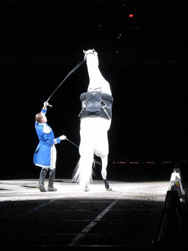 052: Lipizzaner Stallions, Mar 15, 2009