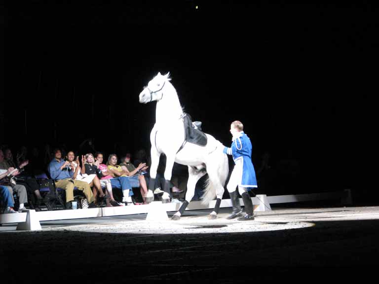 056: Lipizzaner Stallions, Mar 15, 2009