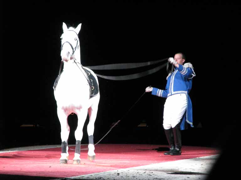 058: Lipizzaner Stallions, Mar 15, 2009