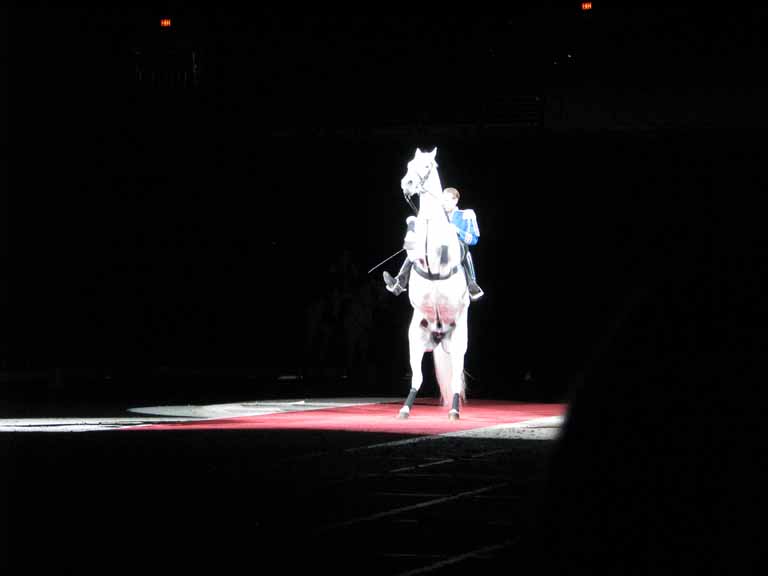 063: Lipizzaner Stallions, Mar 15, 2009