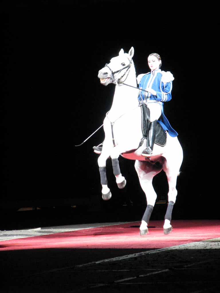 065: Lipizzaner Stallions, Mar 15, 2009