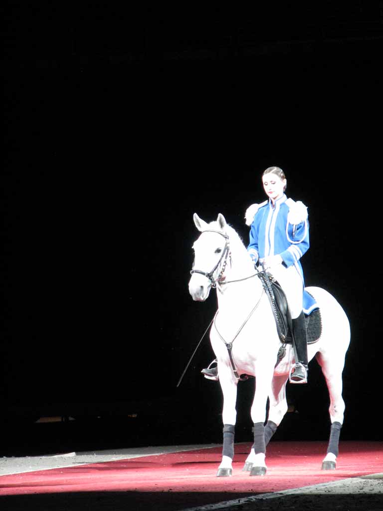 066: Lipizzaner Stallions, Mar 15, 2009