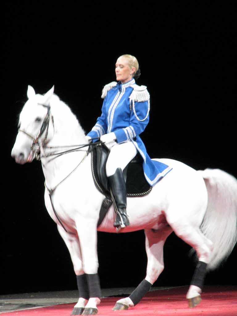 070: Lipizzaner Stallions, Mar 15, 2009