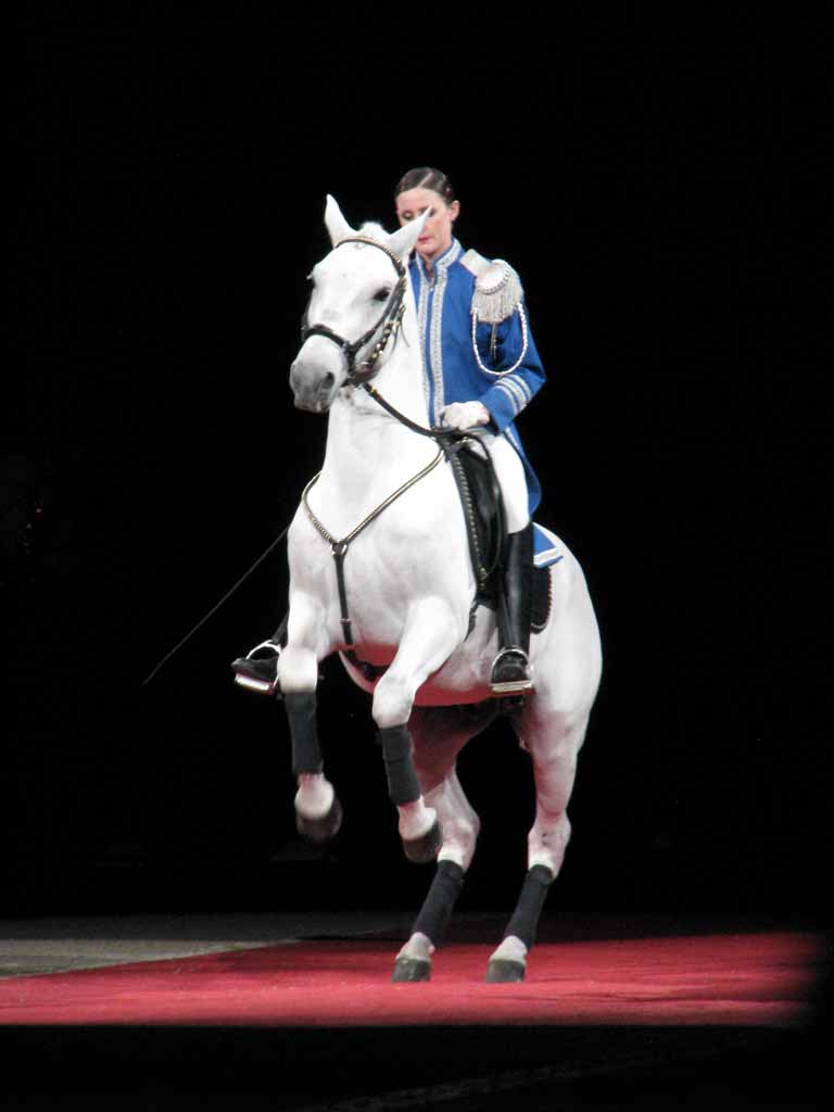 071: Lipizzaner Stallions, Mar 15, 2009