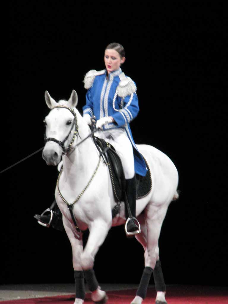 073: Lipizzaner Stallions, Mar 15, 2009