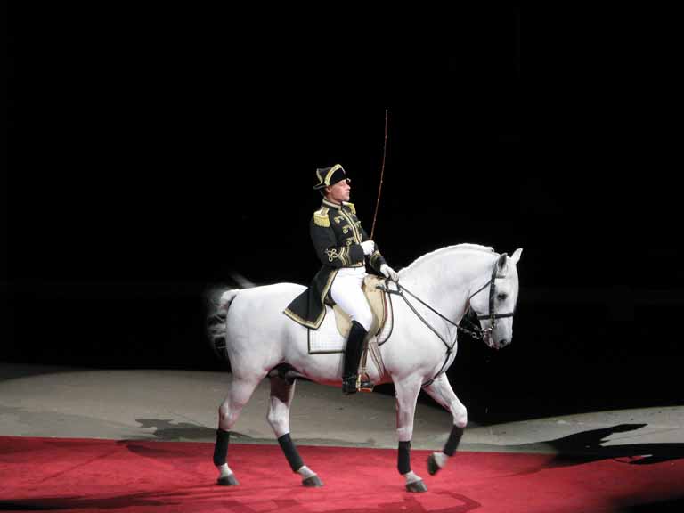 075: Lipizzaner Stallions, Mar 15, 2009