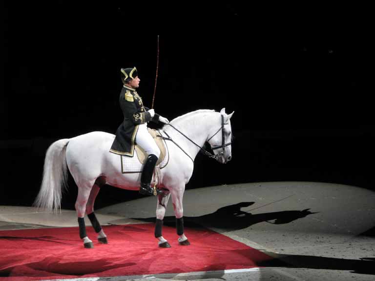 076: Lipizzaner Stallions, Mar 15, 2009